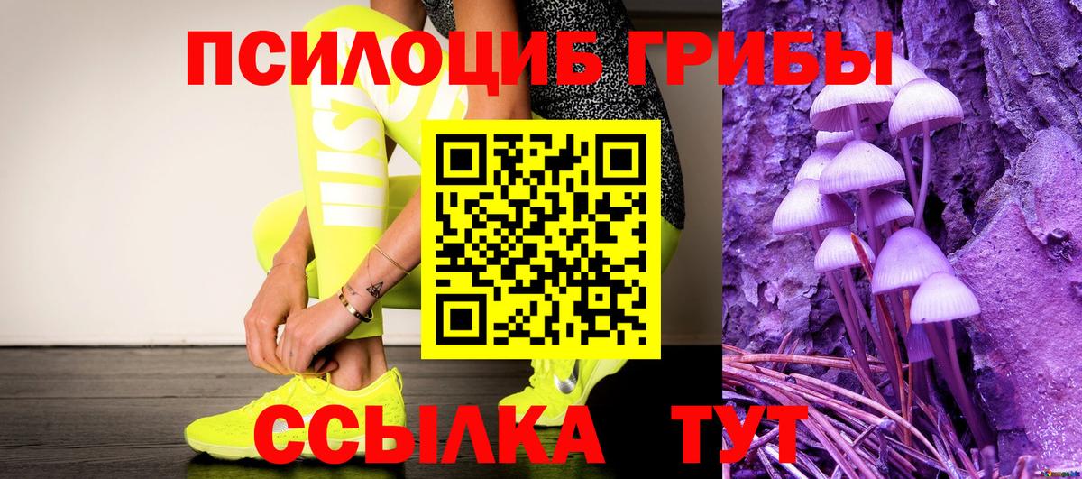 Подольск  Псилоцибиновые грибы прущие грибы  Вход с VPN 